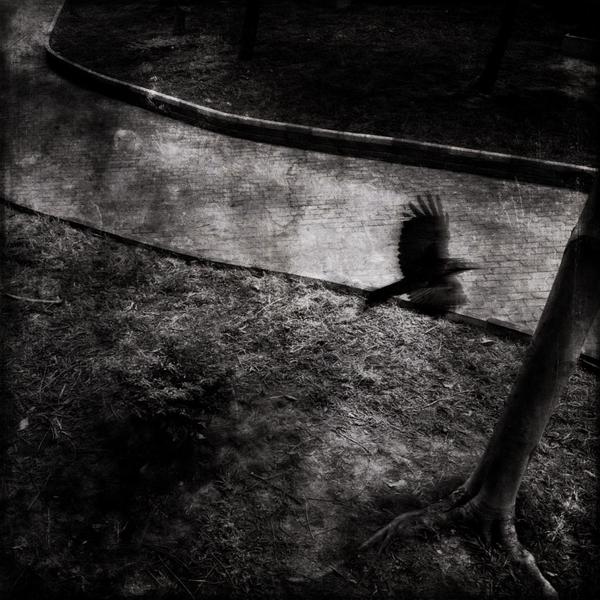 ddos压力在线测试平台